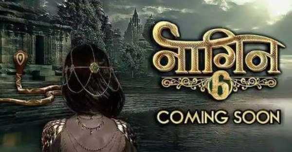 Naagin Season 6 Television Show: premier date, cast, judges, teaser, trailer, teams, ratings & reviews and preview